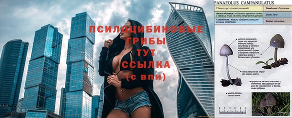 a pvp Армянск