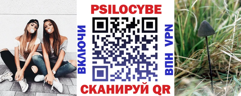 где купить наркоту  Свирск  Галлюциногенные грибы Psilocybine cubensis 